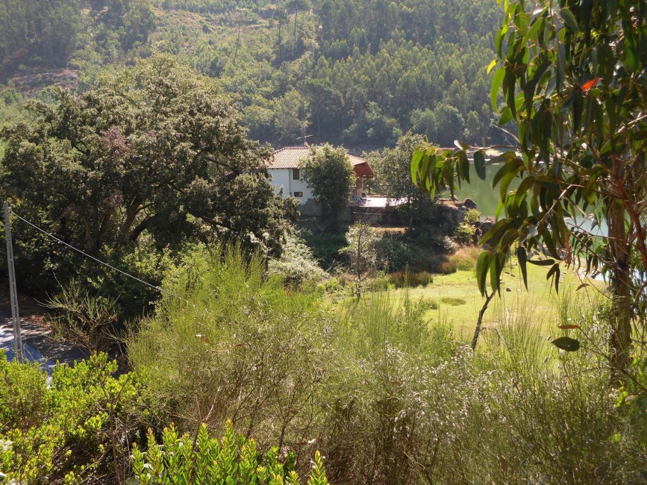 Traditional Mansion In Treixedo With Swimming Pool Exteriér fotografie